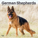 German Shepherds 2026 Square Flap Calendar-9798330703388