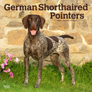 German Shorthaired Pointers 2026 Square Flap Calendar-9798330703401