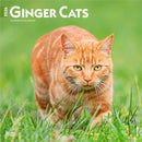 Ginger Cats 2026 Square Flap Calendar-9798330703425