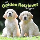 Golden Retriever Puppies 2026 Square Flap Calendar-9798330703463