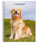 Golden Retrievers 2026 Engagement Diary-9798330703470