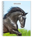 Horse Lovers 2026 Engagement Diary-9798330703692