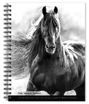 Horse, The Noble, The BrownTrout Portrait Series 2026 Engagement Diary-9798330703746