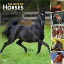 Horses, 365 Days of, 2026 Square Flap Calendar-9798330703760