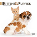 Kittens & Puppies 2026 Mini 7x7 Calendar-9798330704095