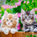 Kittens, I Love 2026 Square Flap Calendar-9798330704149