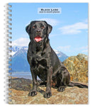 Labrador Retrievers, Black 2026 Engagement Diary-9798330704231
