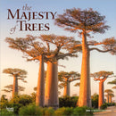Majesty of Trees, The 2026 Square Flap Calendar-9798330704491