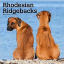 Rhodesian Ridgebacks 2026 Square Flap Calendar-9798330705337