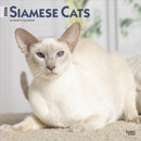 Siamese Cats 2026 Square Flap Calendar-9798330705573