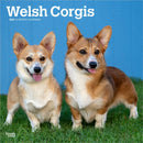 Welsh Corgis 2026 Square Flap Calendar-9798330706235