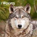 Wolves 2026 Square Flap Calendar-9798330706402