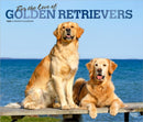 Golden Retrievers, For the Love of 2026 Deluxe Flap Foil Calendar-9798330707157