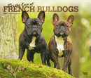 French Bulldogs, For the Love of 2026 Deluxe Flap Foil Calendar-9798330707201