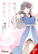 Rascal Does Not Dream of His Girlfriend (light novel)-9798855418293