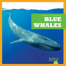 Blue Whales-9798885245890