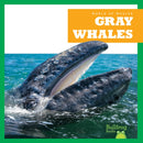 Gray Whales-9798885245920