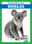 Koalas-9798885246675