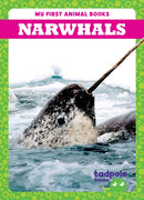 Narwhals-9798885246736