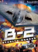 B2 Stealth Bomber-9798886878172
