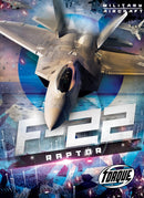 F22 Raptor-9798886878196