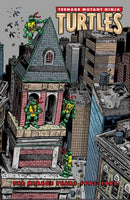 Teenage Mutant Ninja Turtles: The Mirage Years (1993-1995)-9798887242743
