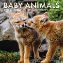 2026 Baby Animals Wall Calendar : Art Wolfe's Wild Lives-9798887621562
