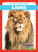 Lions-9798889965770