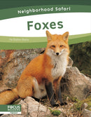 Foxes-9798889982326