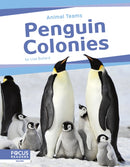 Penguin Colonies-9798889982494
