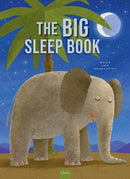 Big Sleep Book