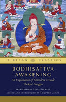 Bodhisattva Awakening