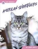 American Shorthairs-9798892503068