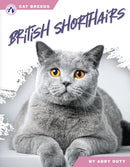 British Shorthairs-9798892503082