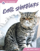 Exotic Shorthairs-9798892503488
