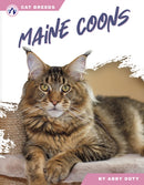 Maine Coons-9798892503495