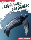 Leatherback Sea Turtles-9798892505499