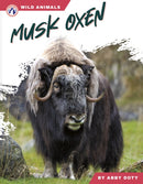 Musk Oxen-9798892505505