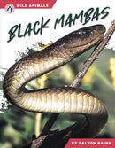 Black Mambas-9798892505819