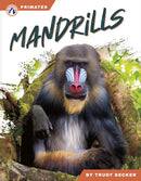Mandrills-9798892507974