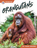 Orangutans-9798892507981