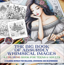 The Big Book of Absurdly Whimsical Images : A Coloring Book for Teens & Adults-9798893210064
