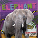 Elephant-9798893593112