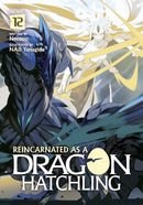 Reincarnated as a Dragon Hatchling (Light Novel) Vol. 12-9798893734676
