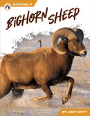 Bighorn Sheep