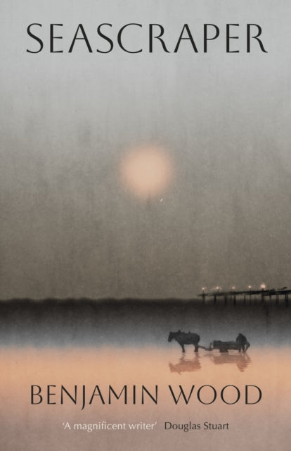 Seascraper by Benjamin Wood