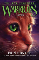 DAWN-9780007419241
