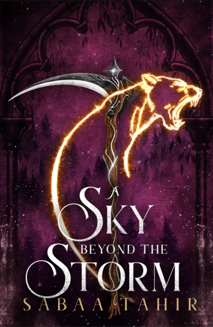 A Sky Beyond the Storm-9780008411695