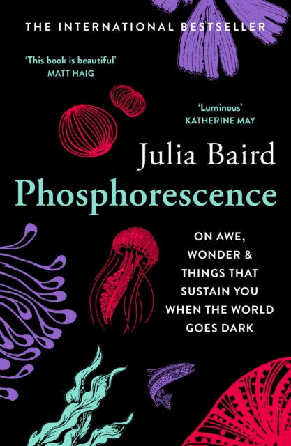 Phosphorescence : On Awe, Wonder & Things That Sustain You When the World Goes Dark-9780008463663