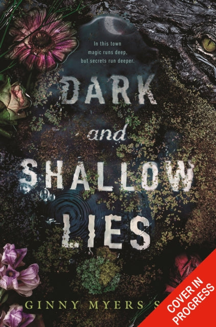 Dark and Shallow Lies-9780008494780